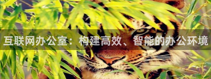 辉达娱乐新疆时时彩