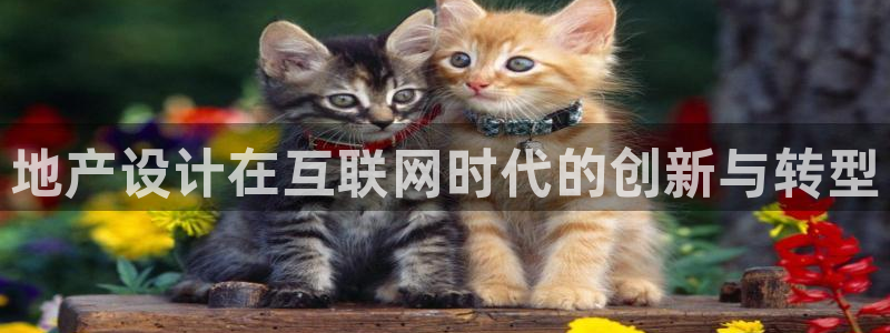 辉达平台官网电话