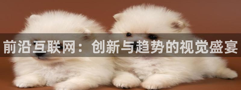 辉达娱乐最新现状