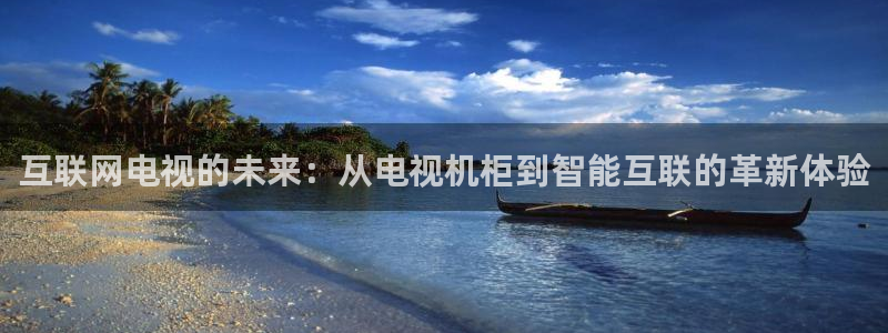 辉达平台官网登录：互联网电视的