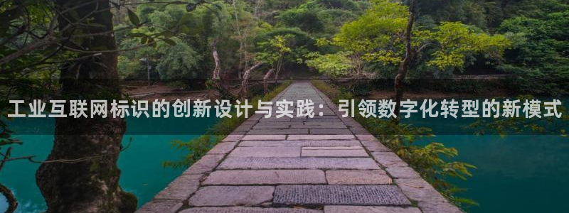 龙腾辉达电子娱乐