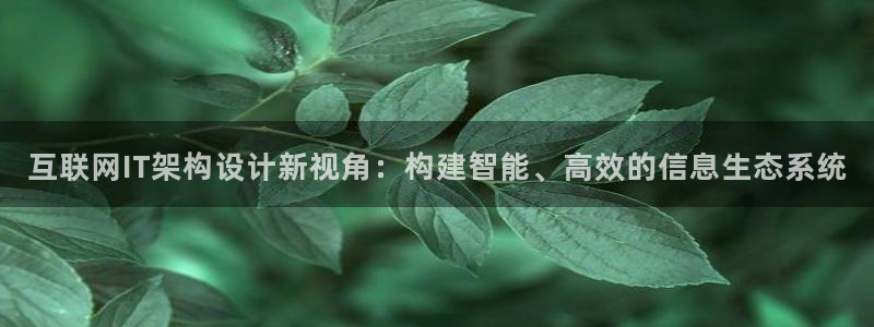 辉达平台注册