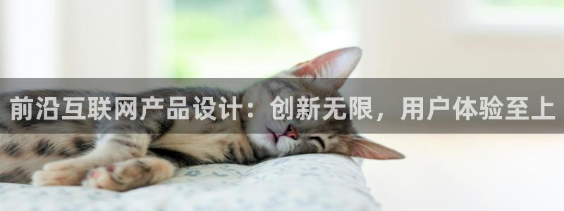 辉达平台官网首页