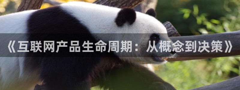 辉达娱乐开户注册