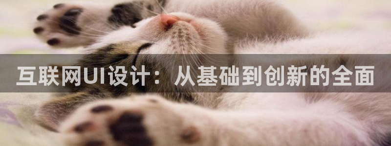 辉达娱乐广东11选5