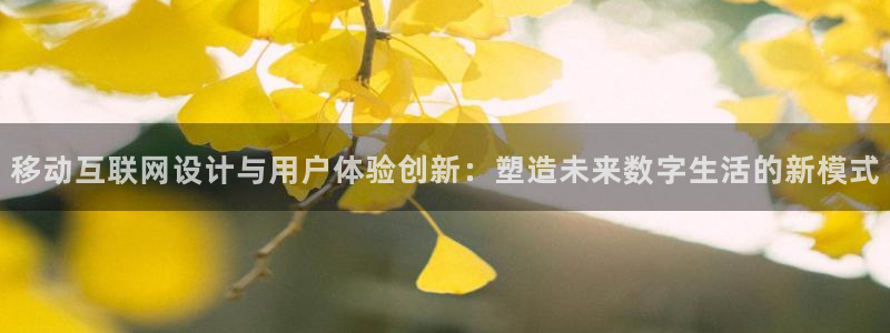 辉达平台注册入口