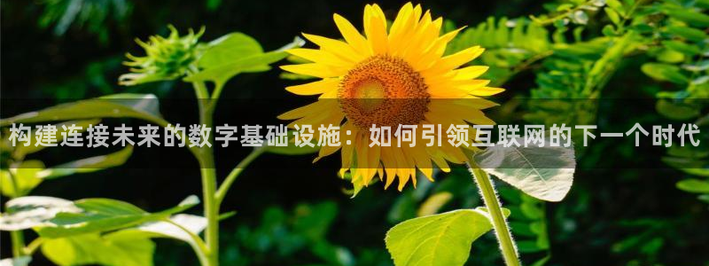 辉达娱乐加q75775稳定
