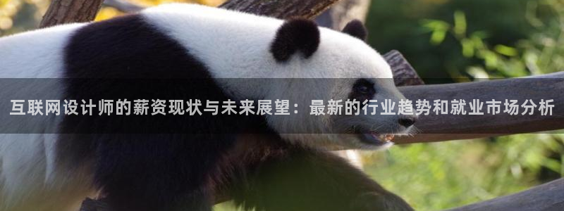 辉达娱乐app