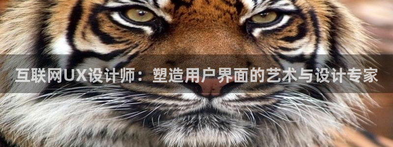 辉达娱乐重庆时时彩注册