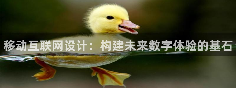 辉达娱乐最新现状