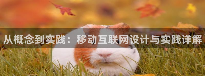 辉达娱乐加扣75775