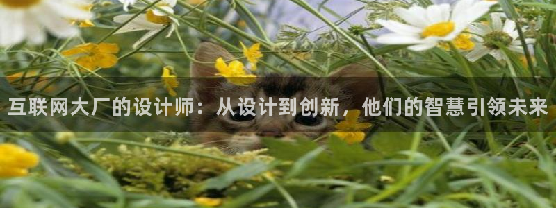 辉达娱乐体彩