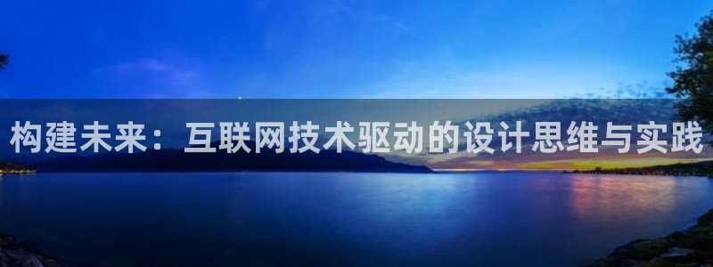辉达娱乐电子：构建未来：互联网
