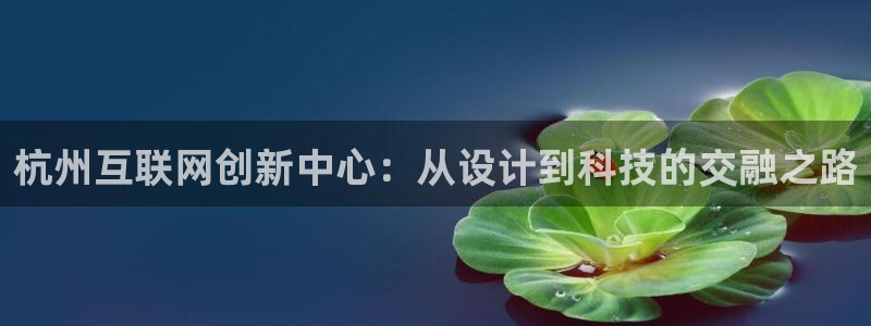 辉达平台娱乐怎么样：杭州互联网
