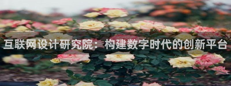 代理辉达娱乐官方网址：互联网设