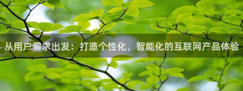 辉达官网登录入口入口