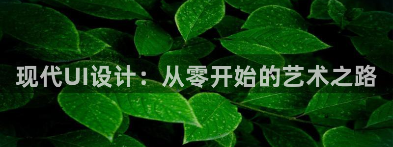 辉达娱乐加q75775稳定：现
