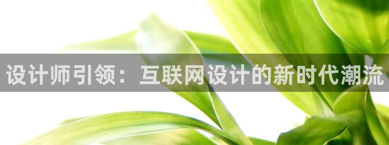 辉达娱乐属于什么档次